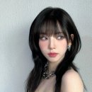 스파커치 이미지