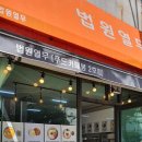 법원 열무 이미지