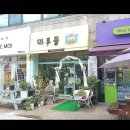 상록자이언트 Daum카페