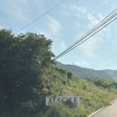 소대식당 | 용인 알솔레 양달바베큐식당 내돈내산 솔직후기