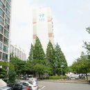 선학메디칼 Daum카페