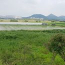 중앙공원(2) Daum카페