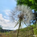 추풍령(서울)휴게소 이미지