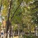 옥산2근린공원(중산근린공원) | 경산여행,온가족이 즐길 수 있는 중산근린공원