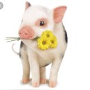 송정한우 이미지