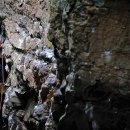 송암사 일대 이미지