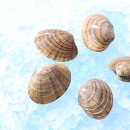 용두산장 이미지