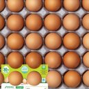 대박짬뽕마을 이미지