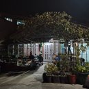 괘내함지박 이미지