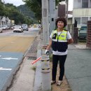 완산서초등학교 이미지