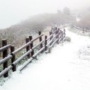 이례로-4 이미지