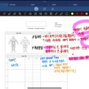 광교상현역 헬스장 제이엠 피트니스 1:1 받고있는후기 / 성치오 트레이너
