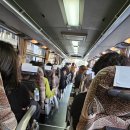 장촌마을 | 나고야 출발 근교 여행｜다카야마 산마치거리 &amp; 시라카와고 합장촌 투어 후기