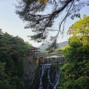 의림지-06 이미지