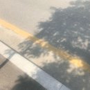 호운 이미지