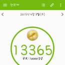 하나미 이미지