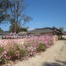 [한국의 고택] 정읍 김동수 씨 가옥(井邑 金東洙 氏 家屋) 이미지