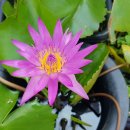 외도하나의원 이미지