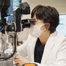 선명안과의원 이미지