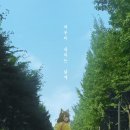 여우비 이미지