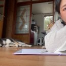 임팩트 계대점 이미지