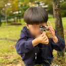 금빛유치원 이미지