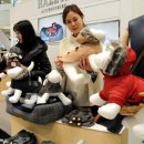 애견백화점 이미지