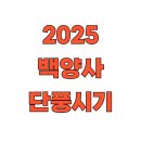 백양사진입로 | 2025 백양사 단풍시기 및 명소 총정리 (내장산 가을여행 완벽가이드)