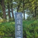 금봉산 농장 | 아름다운 생태숲을 품은 안동 계명산 자연휴양림(숲속의 집, 모감주나무)