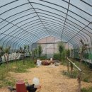 영재농장 이미지