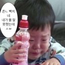 부동선