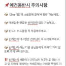 둔포애견 이미지