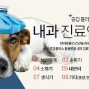 영통동물병원 이미지
