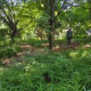 메인 행정사 사무소 이미지