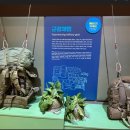 화령장전승기념관(1층) 이미지