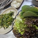 월출산닭불고기집 | 춘천 맛집[원조 숯불 닭불고기집] 방문 후기