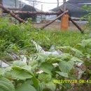 미래목장 이미지