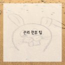 피노라 네이버블로그