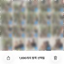 겸손한 사람들 | [W] 웨딩촬영 | 피아스튜디오 청담 웨딩촬영 후기(지정X, 정정혜 작가)