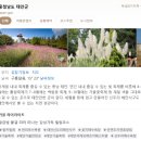 25. 1박2일 가족여행, 태안 풀빌라