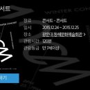 백양루시드 이미지