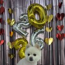 다원하개 이미지