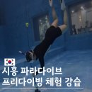 신중동역 헤리움 메트로타워 | 인천 시흥 파라다이브 입장료 프리다이빙 체험 강습