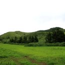 멍에목장 이미지