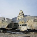 아우라지역 이미지