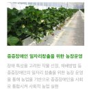 터알농장 이미지