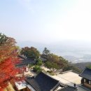 조안보건지소 앞
