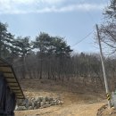 팔미농장 이미지