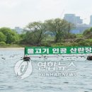 의정부민물고기 이미지