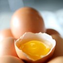 노른자 이미지